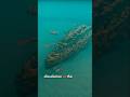 Titanic Wreckage 2025 Shorts