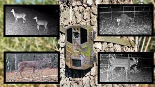 🦌 iZeeker 4K 48MP Trail Cam. Unboxing, Testing, & Samples 🐗