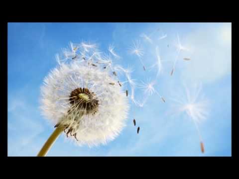 eppure il vento soffia ancora - Pierangielo Bertoli