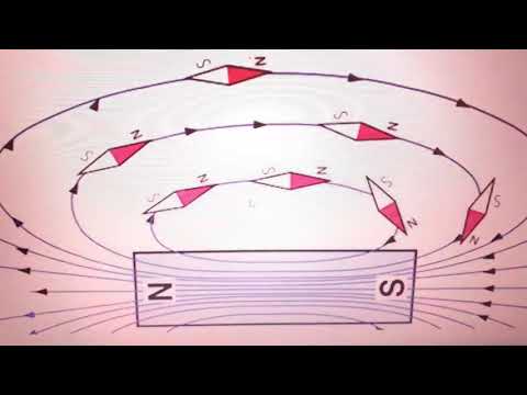 Fizike 8, Fushat magnetike, Fatbardha Vasiari
