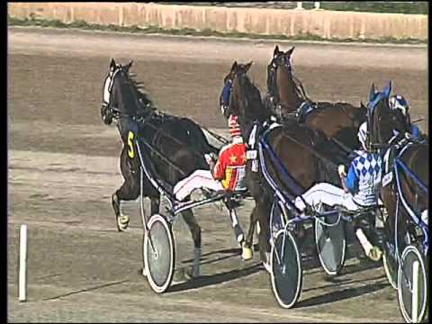 Trotto 08/10/2015 - 5 ° corsa