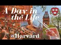 A Day in the Life of a Harvard Student *realistic*