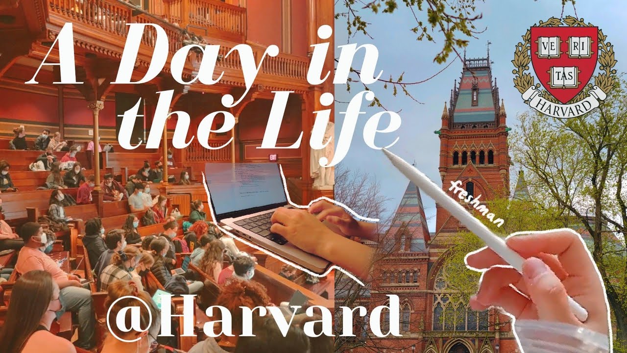 A Day in the Life of a Harvard Student *realistic*