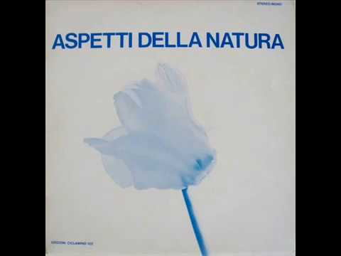 Antonio Ricardo Luciani - Alta Montagna