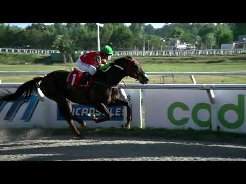 211126 c07 - MINOTAURO - HIPODROMO LAS PIEDRAS