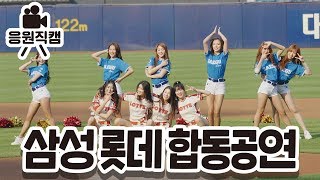 [閒聊] 韓職同場比賽 樂天和三星啦啦隊一起表演