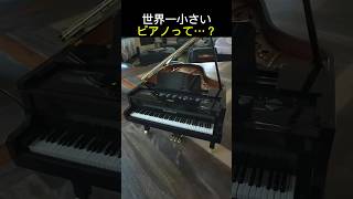 Download lagu 世界一小さいピアノ mp3