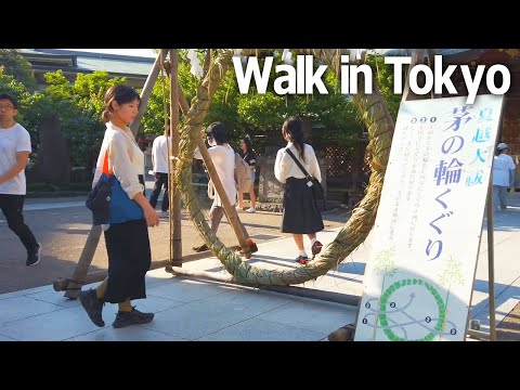 Tokyo Walking Tour - Two shrines and a summer ritual♪ (June 2023)