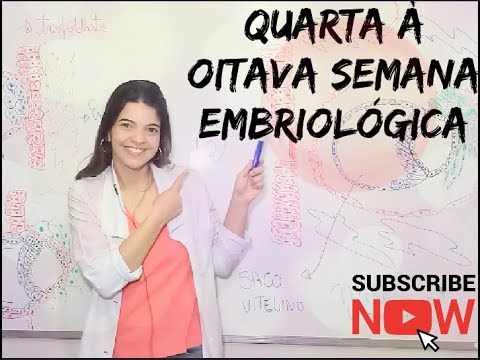 Quarta à oitava semana de desenvolvimento