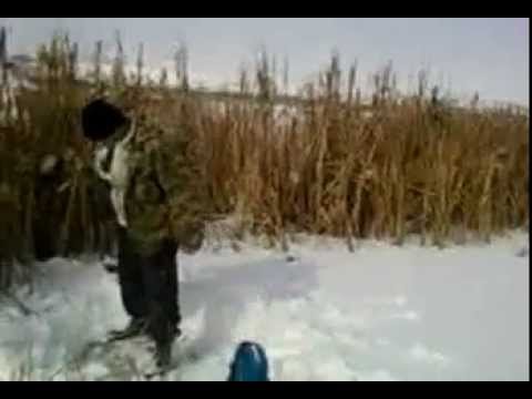 copca pe  lac hadareni