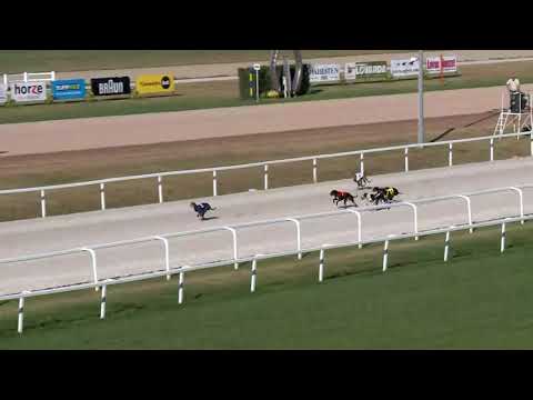 2018.08.12. Agár futam