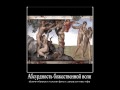 Скажите, как его зовут? 