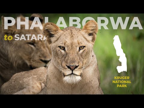 PHALABORWA to SATARA day trip in the Kruger Park