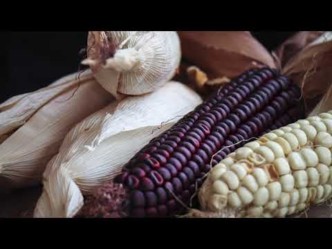 Sharing Seeds is Integral to Shan Tradition & Preservation