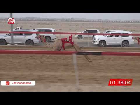  ش 7 (صرخه) لـ عبدالله سالم بن صروخ النعيمي 2:56 ، شارة الصندوق 2026/08/24 فطامين سويحان