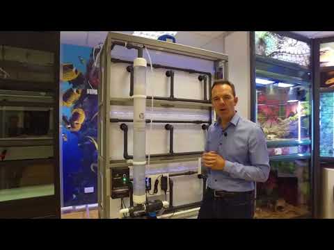 download lagu mp3 mp4 Purge Pet, download lagu Purge Pet gratis, unduh video klip Purge Pet