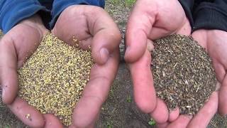 SEPARÁTOR  ZBOŽIA CZA/5 - Nerez - 5 frakcií - 3-5t/h