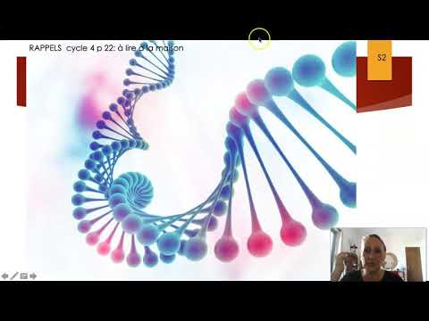 Vidéo n°3 exercices et molécule d'ADN 2020