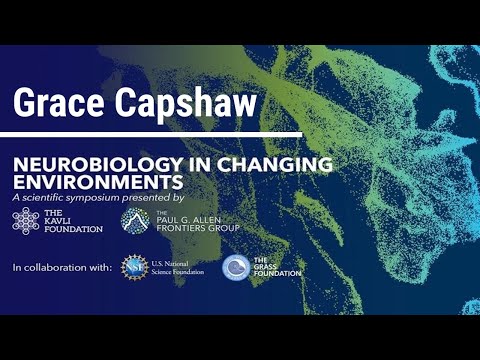 Grace Capshaw | Neurobiology in Changing Environments