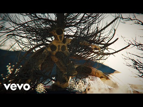 A.N.I.M.A.L, Juanes - Solo por Ser Indios (Official Video) ft. Juanes