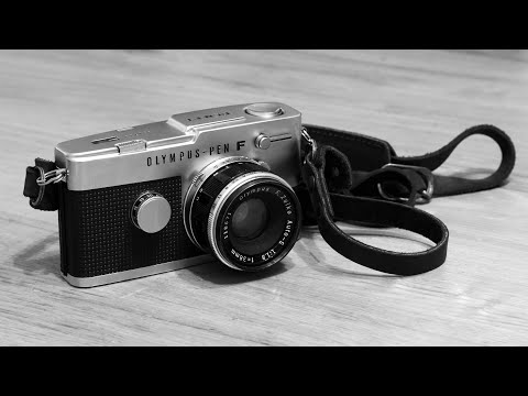 A few rolls in the Olympus Pen FT