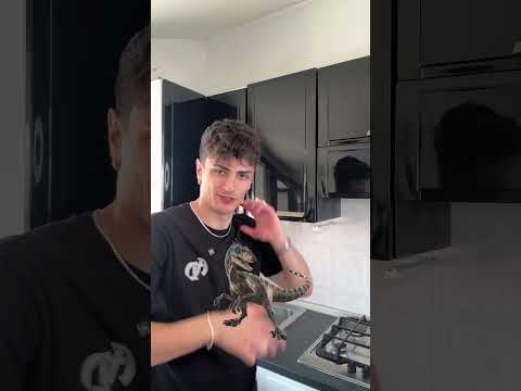 quando dio ha creato alessandro: