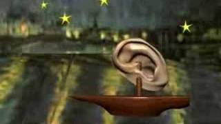 my beautiful sinking ship