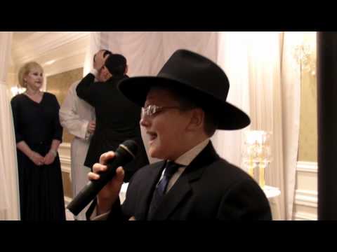 Dovid Dachs - Mi Adir with Shloime Dachs Orchestra