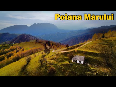 Cel mai frumos loc din România toamna - Poiana Mărului