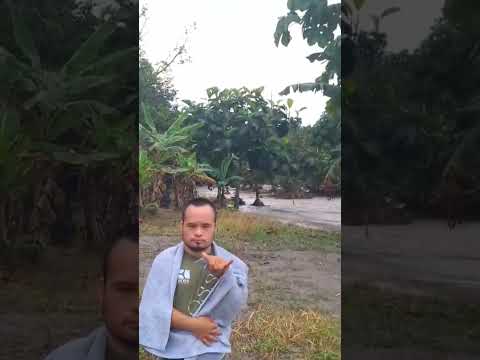 damnificada Marisol Giraldo vereda isla 2 El Dorado Meta. julio 23 de 2026