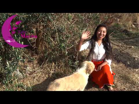 Entrenando a mi perro | # el mejor amigo del hombre