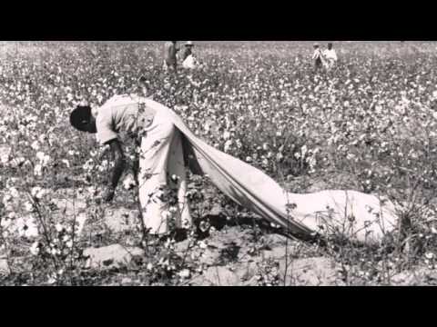 Segregation 1955
