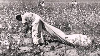 Segregation 1955