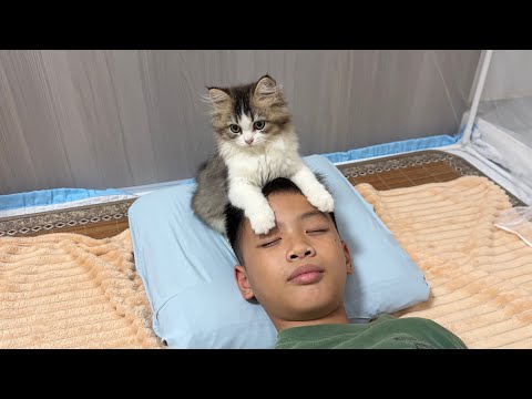YouTube 썸네일