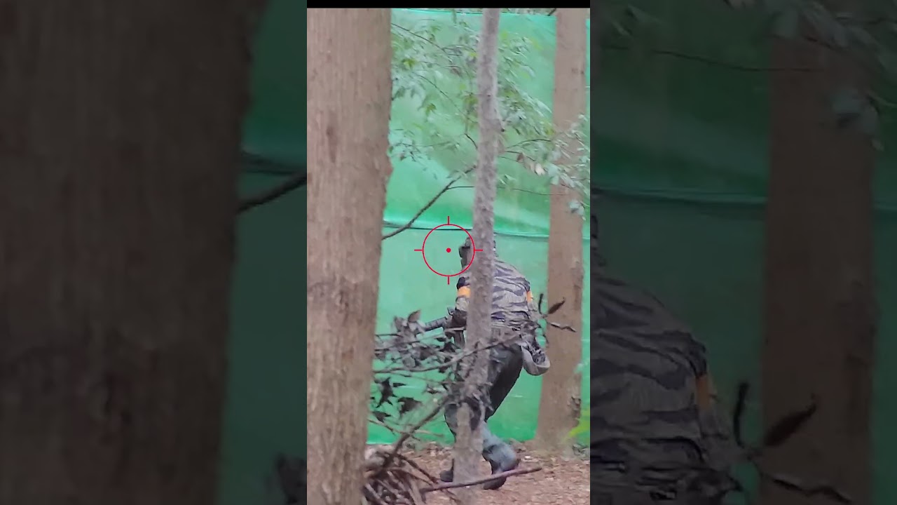 スナイパーライフル一撃ヘッドショット/VSR