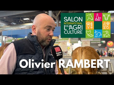Olivier Rambert : "il y a des similarités entre l’élevage des chevaux de courses et des bovins"