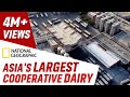 Inside Asia S Largest Cooperative Dairy By National Geographic Banas Dairy