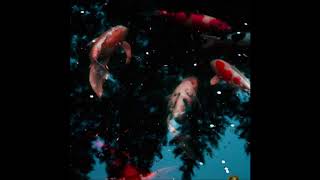 Jahkoy - Language of Love (Prod. by Kevin Cossom) (New R&amp;B Music 2017)