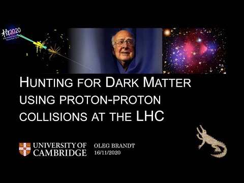 Oleg Brandt: Hunting for Dark Matter using proton-proton collisions at the LHC (Kashiwa 2020)