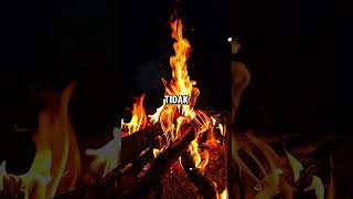 Download lagu #GegarGunungGemora #Wings #SayapSayapWings #CapCut #ytshorts #fypシ゚ mp3