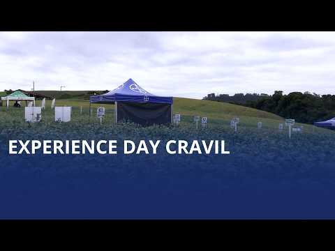 Experience Day