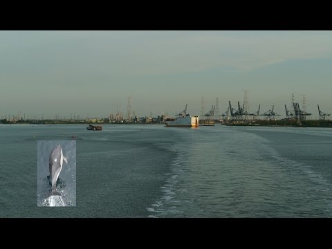 Frachtschiffreise 2014 Anna Sirkka Teil 1 Bremerhaven bis Marokko