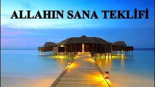 Said Şaşmaz - Allah'ın Sana Teklifi