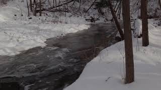 Bonny Portmore / Greensleeves  ( Loreena McKennitt )