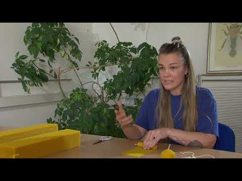 Steirische Landwirtschaft: Honig