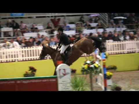 ♥ Olaf- jumping horse  by Martel