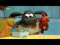 Jucându Te înveţi Despre Animale Cu JimJam