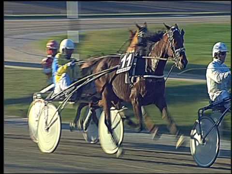 Trotto 30/10/2016 - 5ª corsa