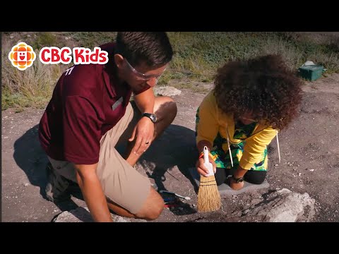 Digging for Dinosaurs in Alberta | CBC Kids
