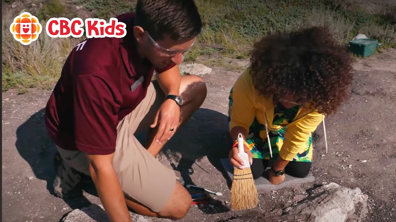 Digging for Dinosaurs in Alberta | CBC Kids